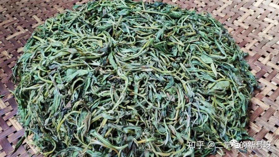 用脚揉出来的茶央视却把它拍成了纪录片