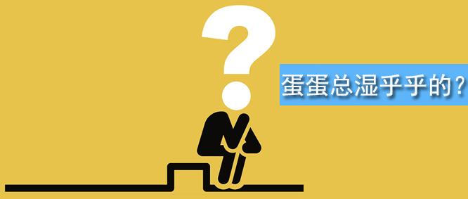 为什么蛋蛋总是湿乎乎的?做好这5点,从此蛋蛋干净清爽!