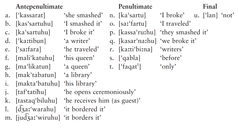 有一些语言有重音节和轻音节之分:重音节往往是以辅音结尾,或者有长