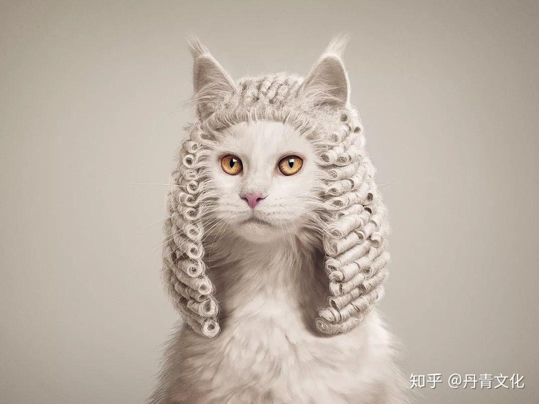 动物代言的精美广告创意作品欣赏