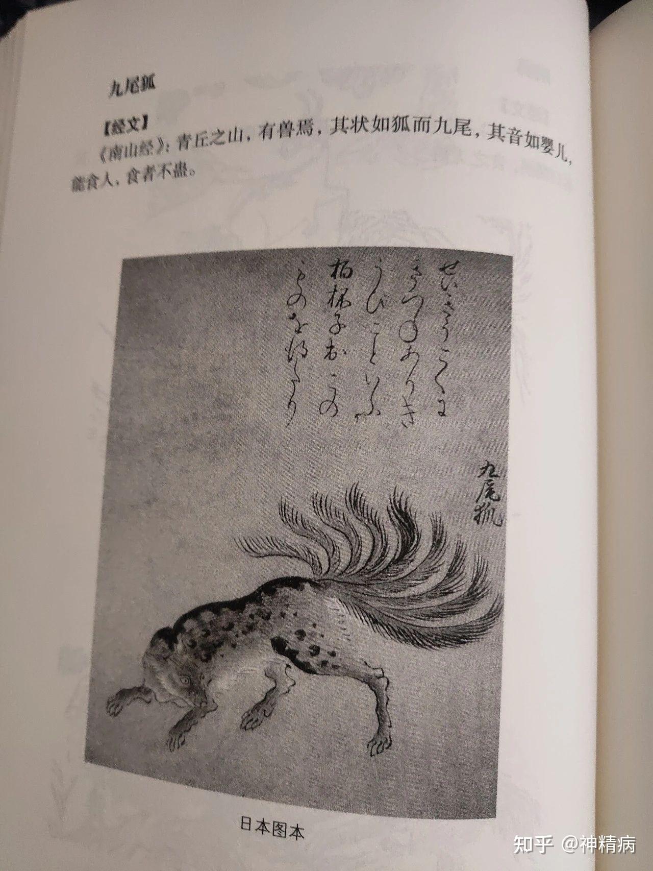 〖山海经〗（九凤） - 知乎