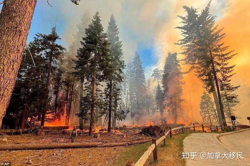 华人最爱旅游胜地烧成炼狱40度热浪破百年记录温哥华也难逃