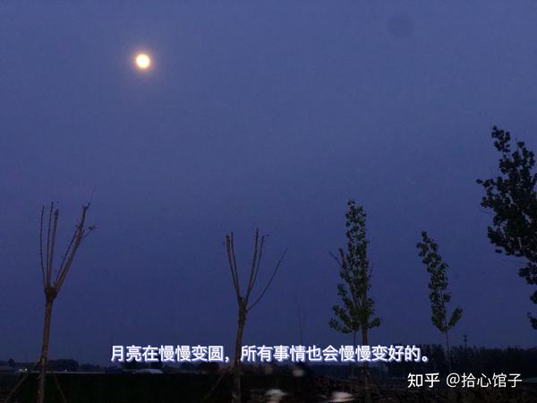 超治愈的文案很温暖(超级走心的干净治愈文案)