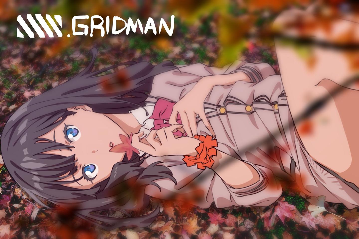 动漫壁纸 美图 Ssss Gridman 第三弹 知乎