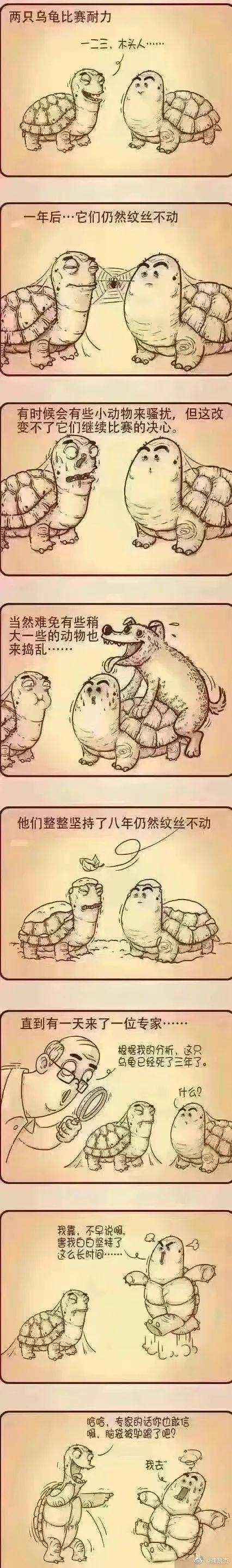 你有哪些让人笑到肚子疼的搞笑图片?(23) - 知乎