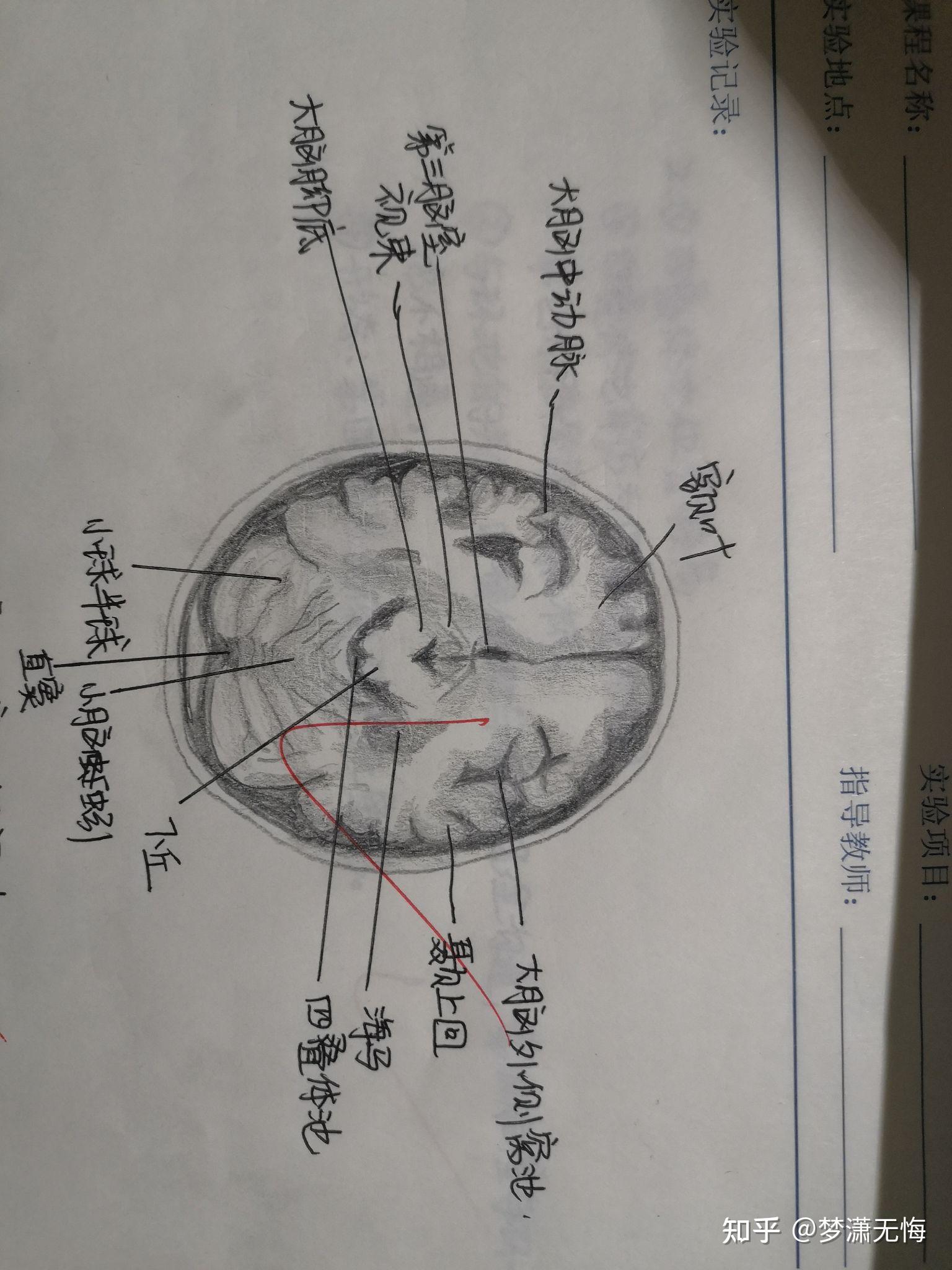 横断面图怎么画手绘图片