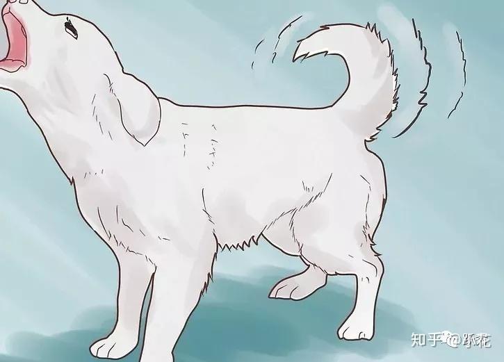 如何阻止狗狗打斗