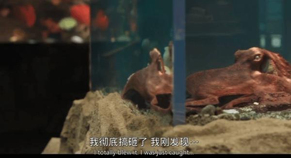 《幸运有八只触手》北美网飞电影榜第一，就这吗？