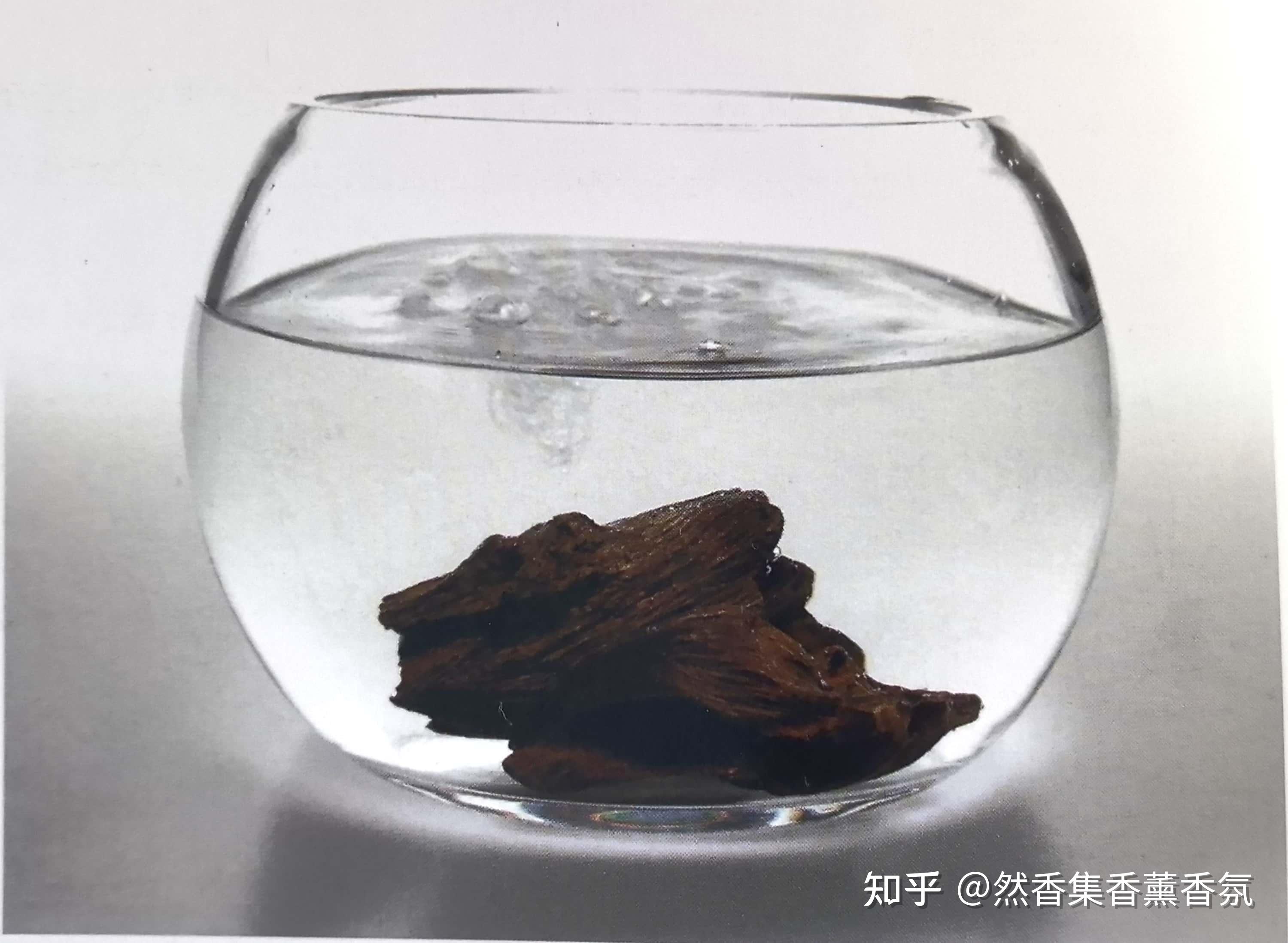 沉香入门篇二：沉香的分类（结香方式、油脂含量） - 知乎
