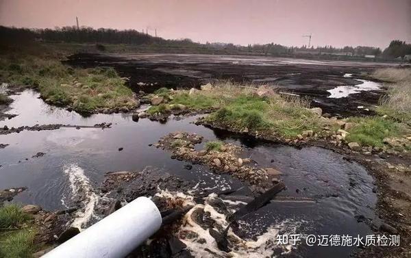 水体中氨氮超标的危害 - 知乎