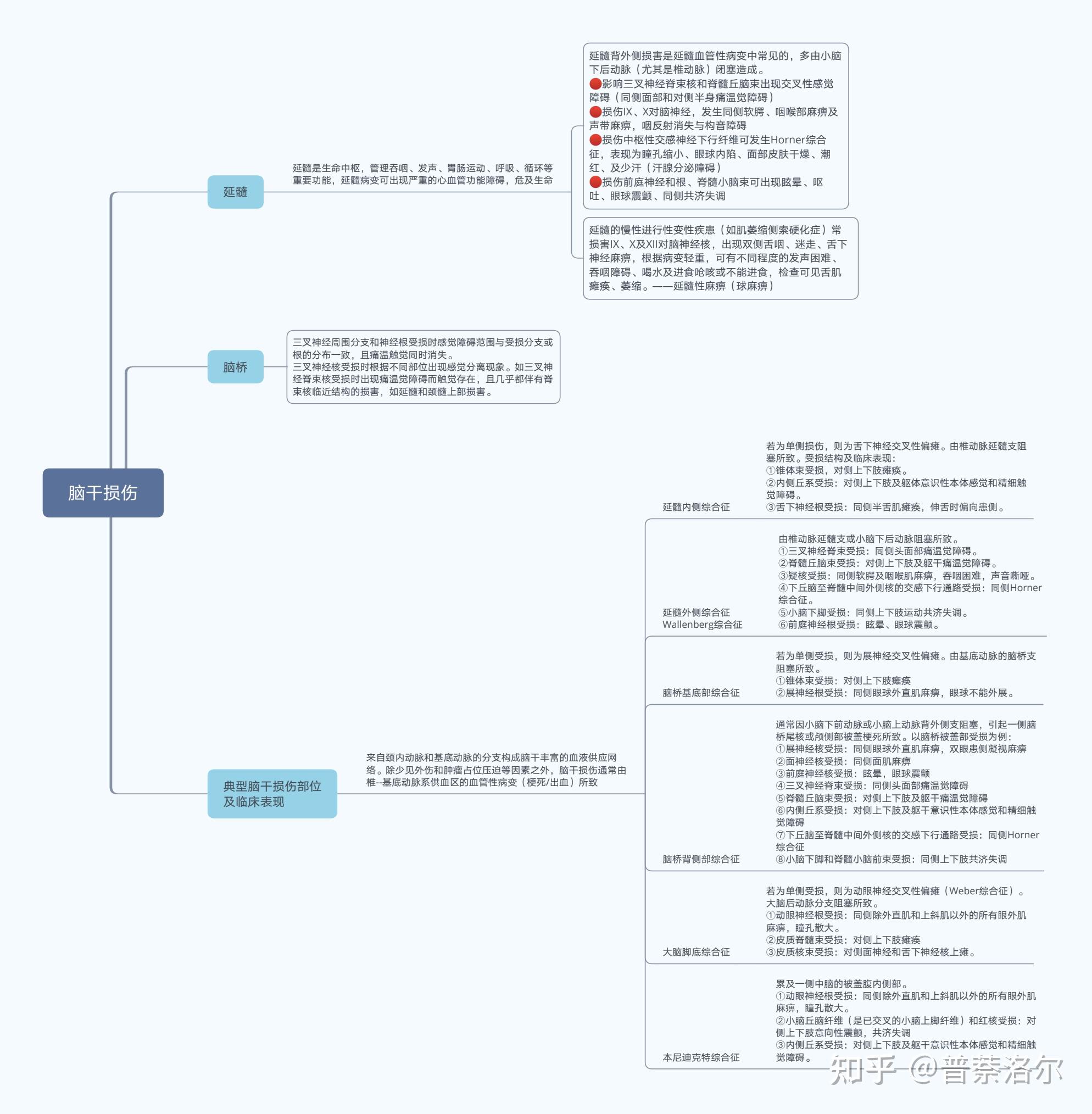 医学生复习资料 神经系统解剖超详细思维导图合集