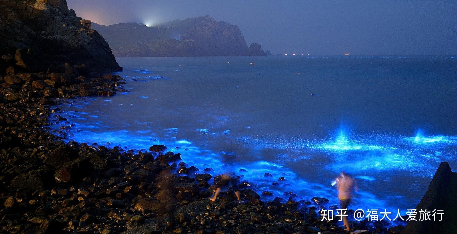 每到夏天,台湾海峡水面上就会出现一种罕见的"蓝眼泪"奇观! - 知乎