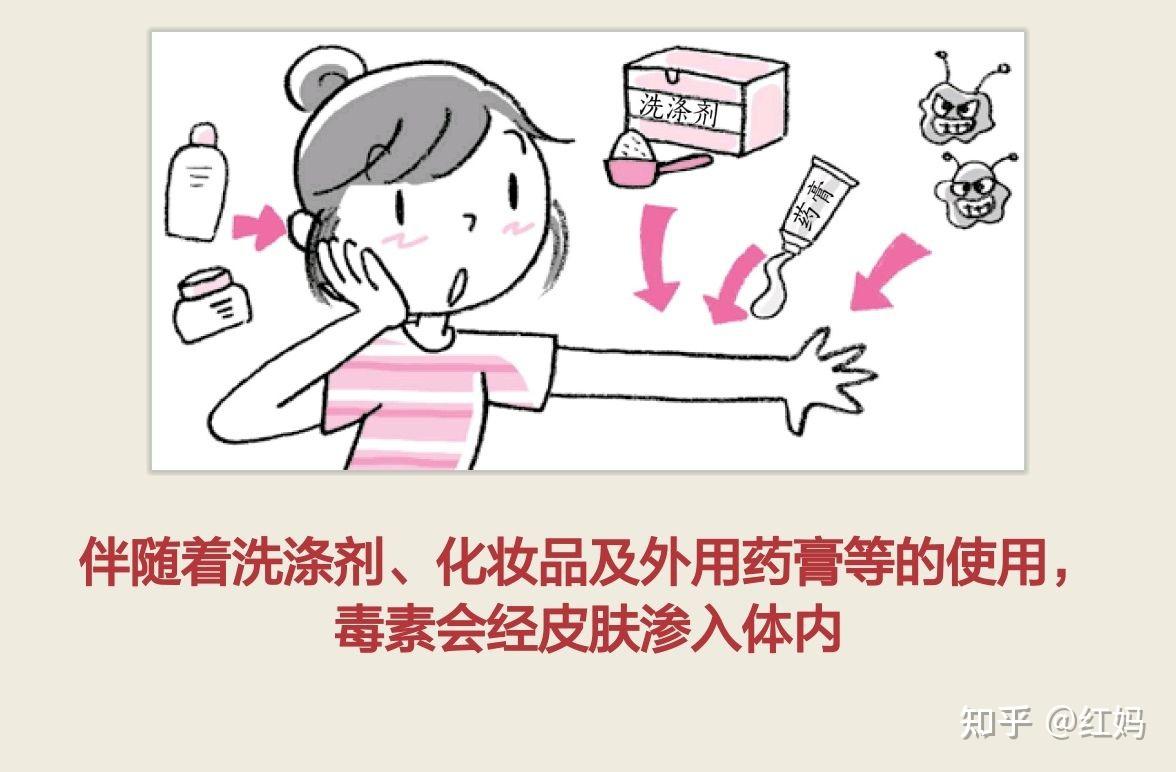 毒素从何而入 - 知乎
