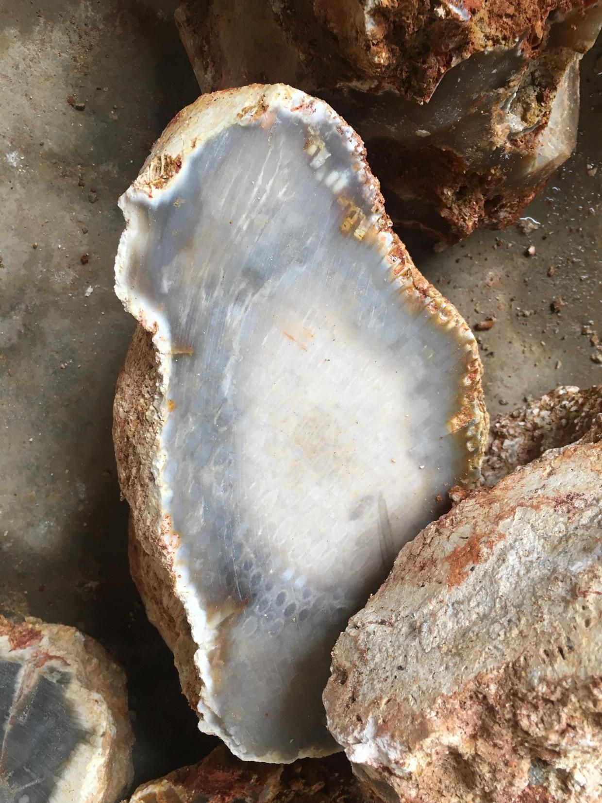 珊瑚玉水料的真面目