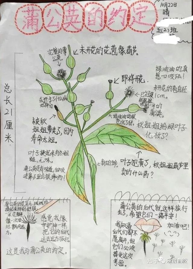 自然筆記操作篇之10分鐘學會做自然筆記