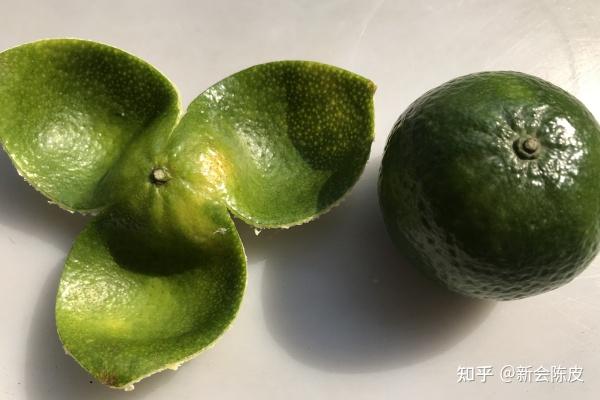 新会陈皮青皮、二红皮、大红皮怎么区分? - 知乎