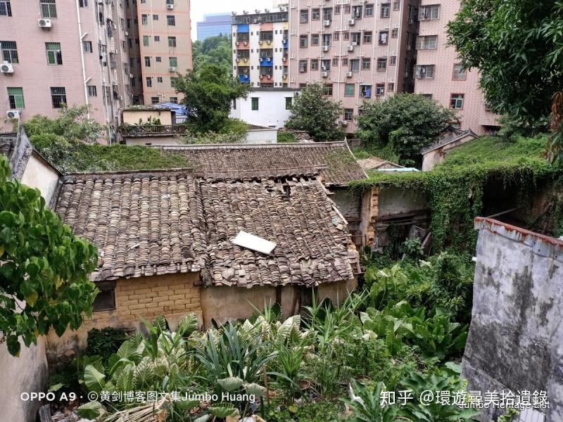 第1851回学历最高的城中村坂田岗头科技嬗变