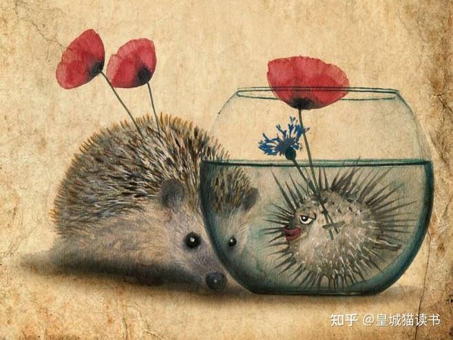 皇城猫读书71之刺猬的优雅①