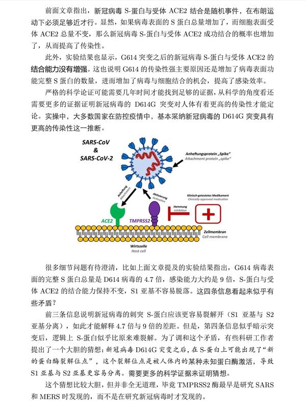 新冠病毒感染机理图解图片