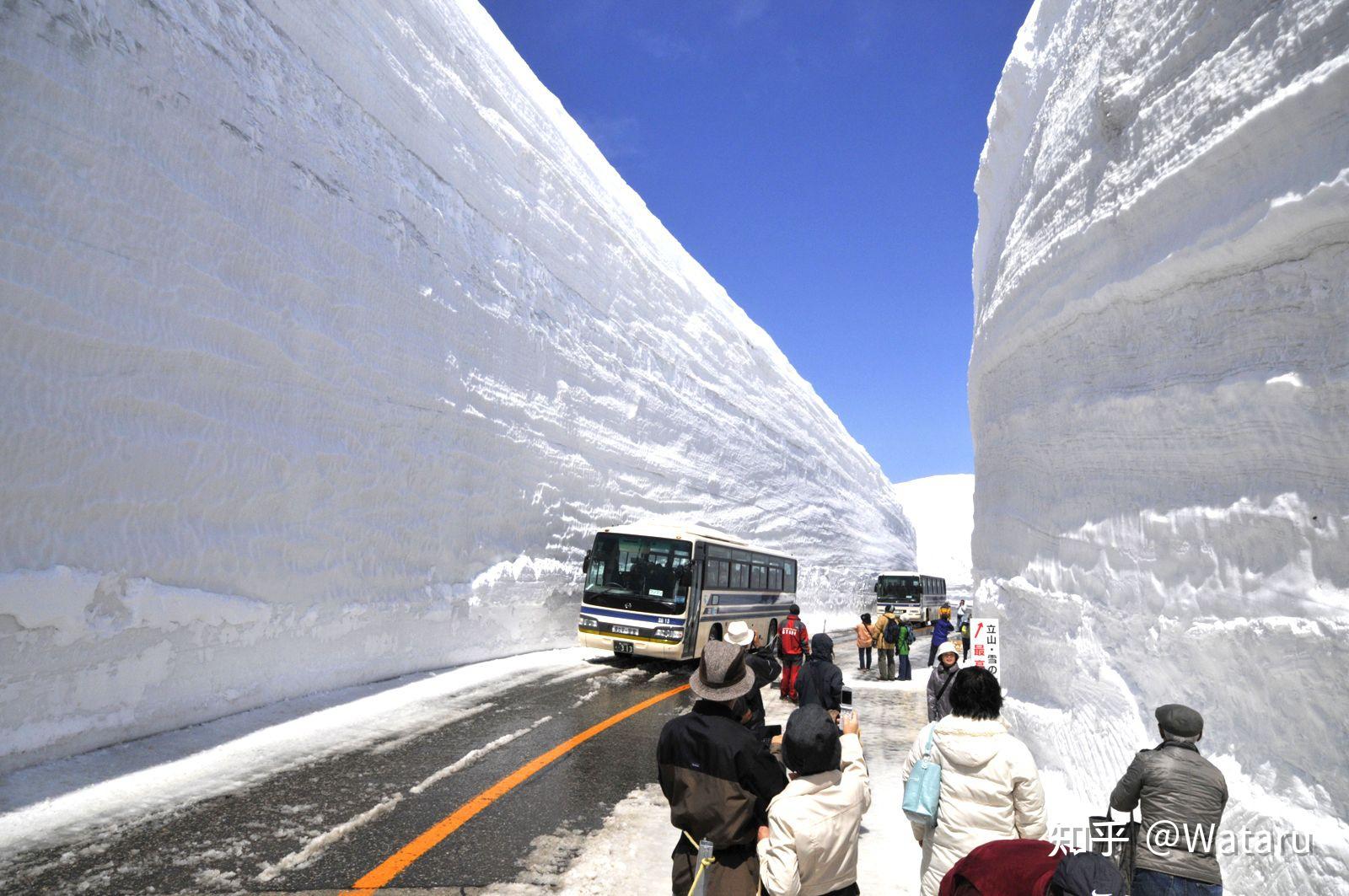 日本的雪墙公路是如何形成的 知乎