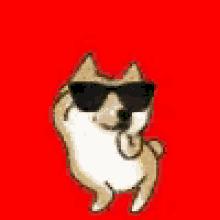 精神小狗蹦迪表情包丨小柴犬跳舞表情包