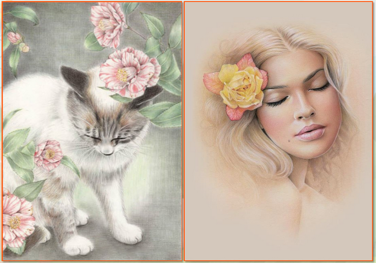 ps电脑手绘从入门到精通概述