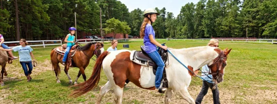 传说中的法国贵族活动有多亲民高贵但不贵