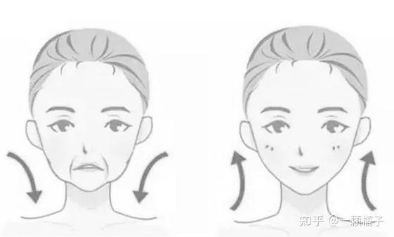 我们是怎么判断美丑的?