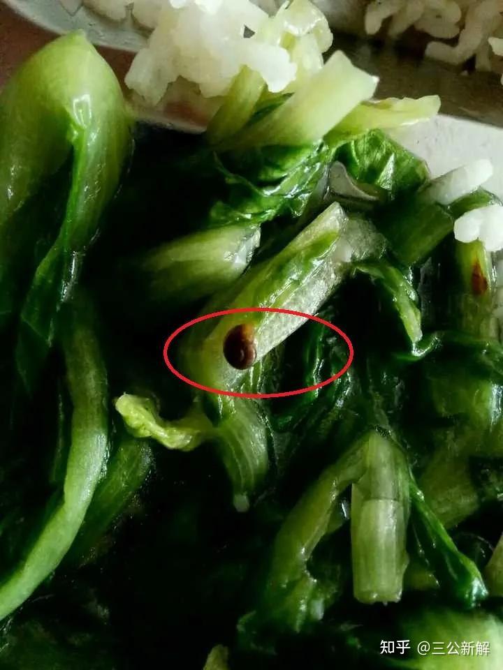 从喝汤喝出异物的不同处理方式看性格