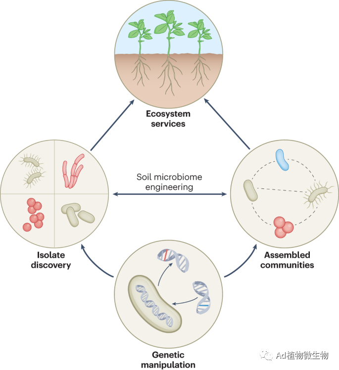 9) | 设计土壤微生物组在不断变化的环境中实现可持续性! - 知乎
