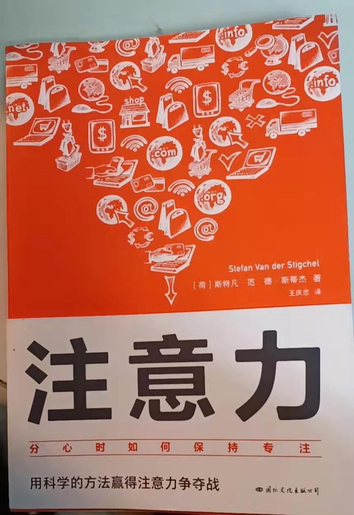 《注意力》:一执行,二存储,打响注意力抢夺战 - 知乎