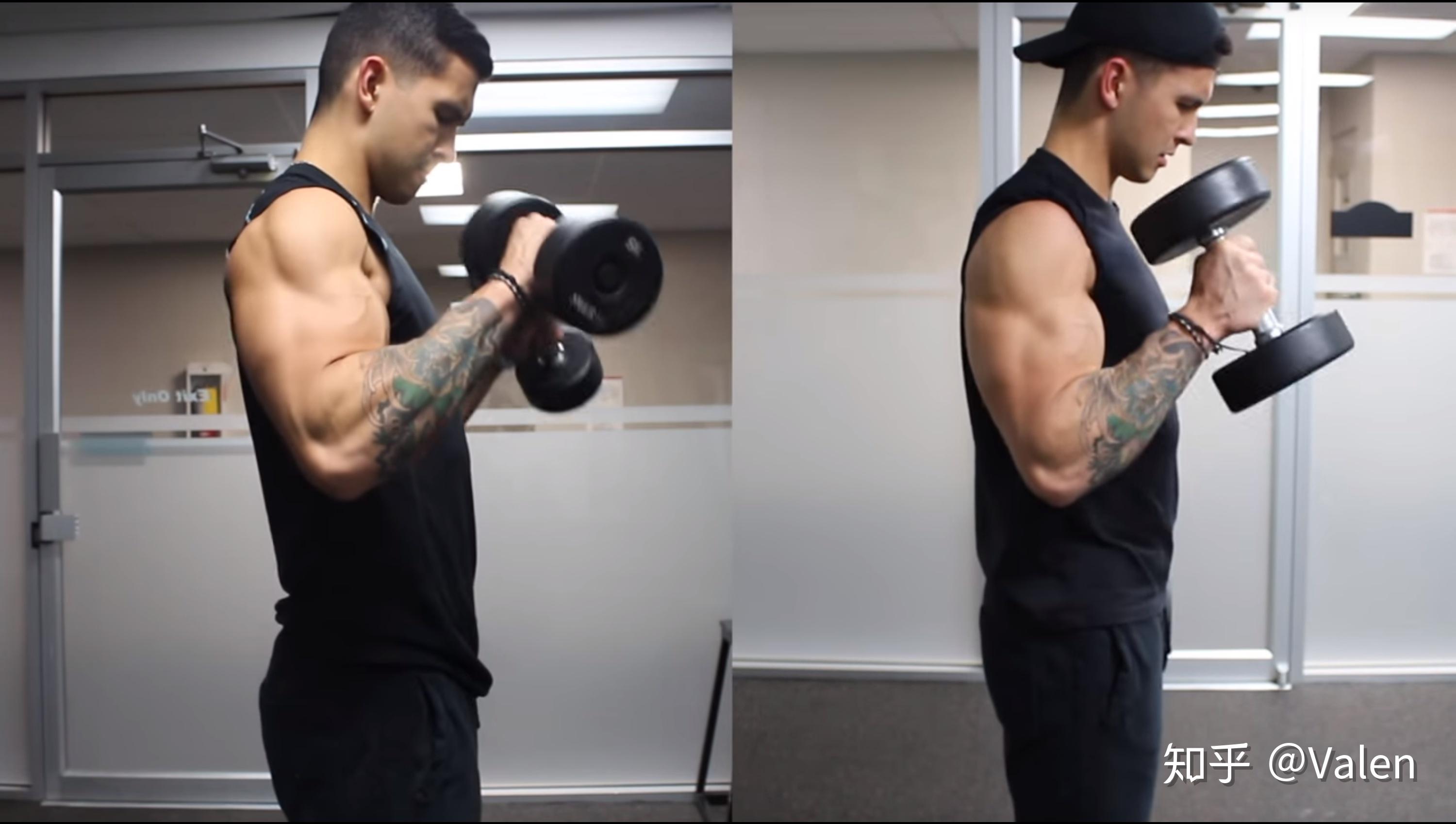 evidence of functional differentiation within biceps brachii