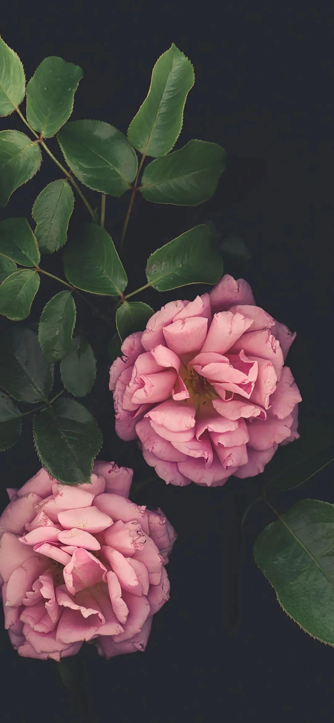 有没有适合做背景的 无水印 简约 的图片?