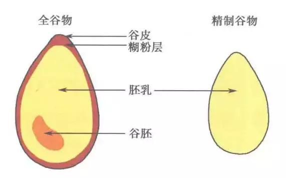 五谷杂粮全知道 |全谷物、粗粮和杂粮的区别？ - 知乎