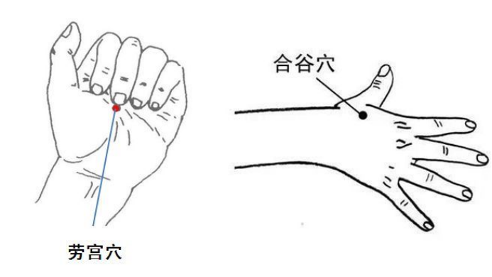 小骨空的准确位置图片图片