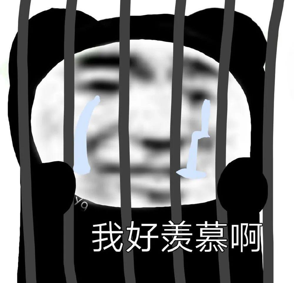 270张有趣的表情包 - 知乎