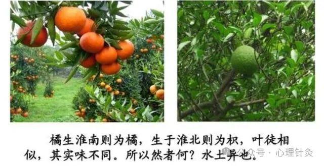 中国本土心理治疗技术40种 - 知乎