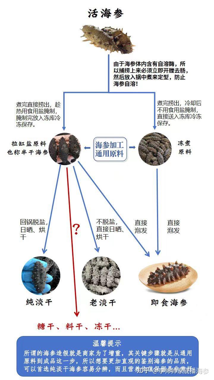 海参到底该怎么选购?如何分辨海参优劣?5分钟教你从小白成为海参专家!