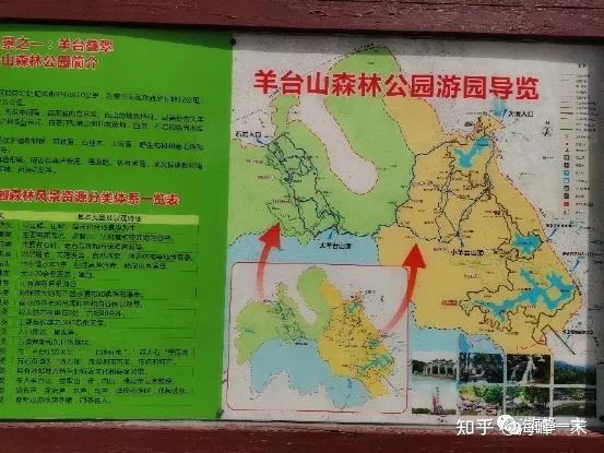 羊台山森林公园路线图片