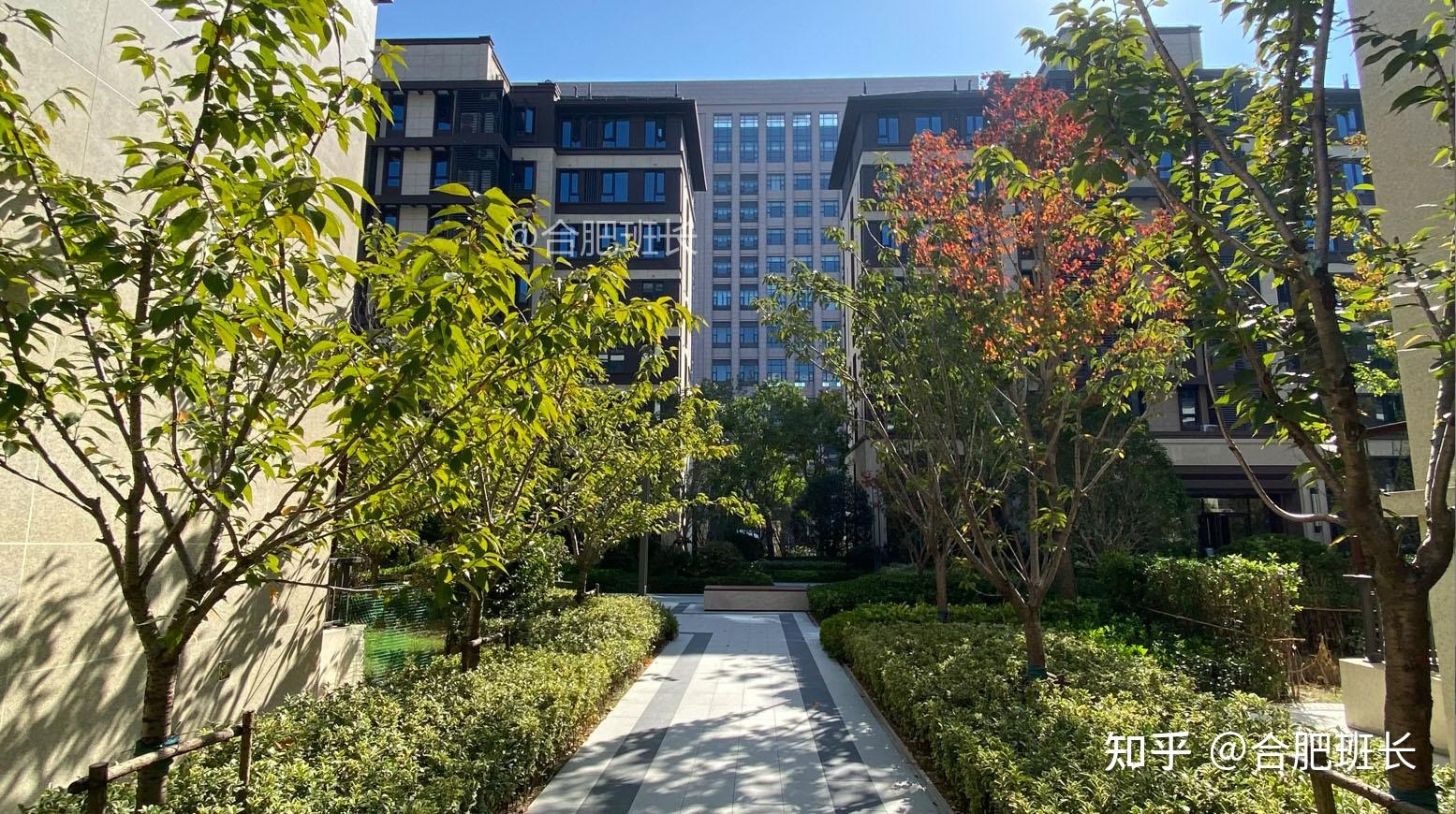 合肥顶流红盘之一,实探滨湖省府中轴的阳光城檀悦! - 知乎