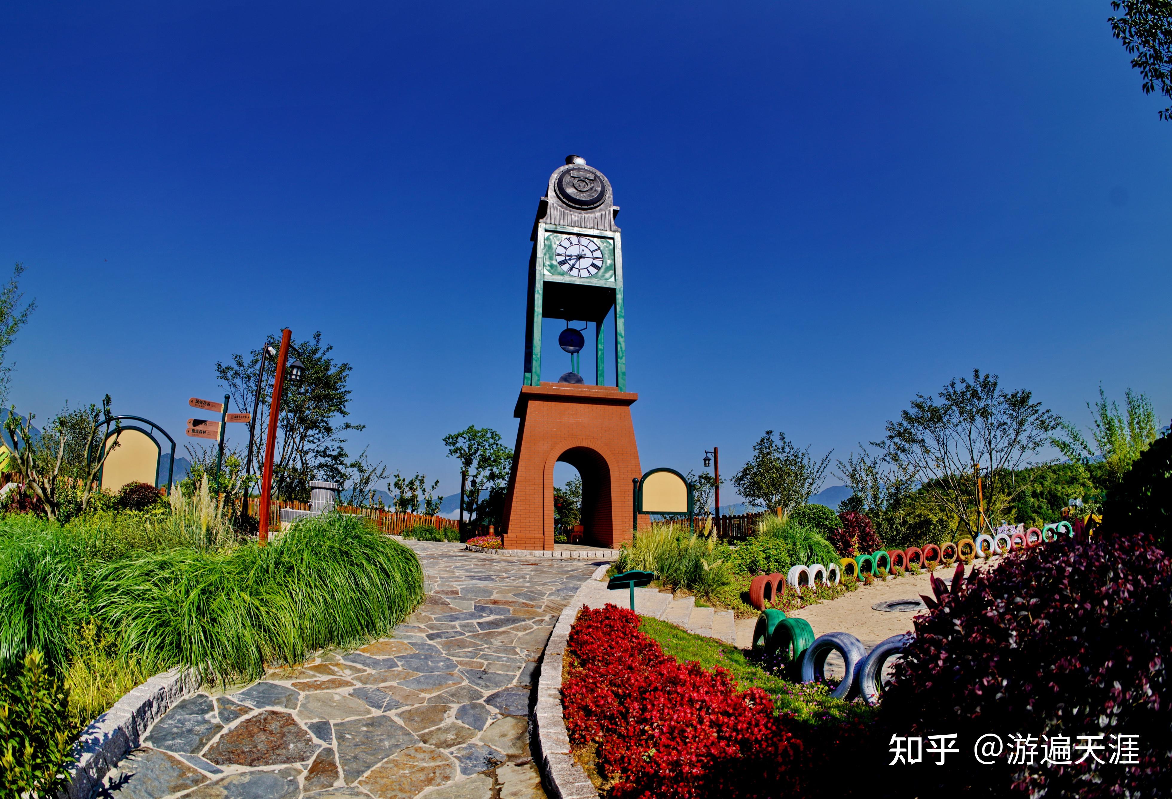 温州亲子游好去处泰顺松垟花开火车乐园大手拉小手阳光下行走