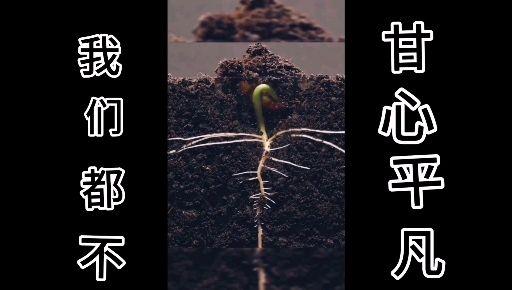 如何处理自己的不甘心