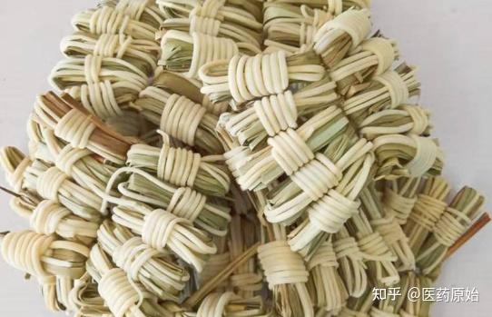 带你识别灯心草 - 知乎