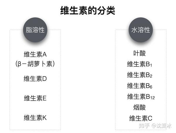 营养学入门06——维生素(上)