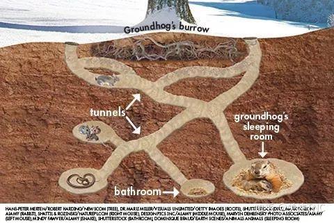 起居室,厕所和走廊 08 google进入洞穴的大门有两处:一处是主要的