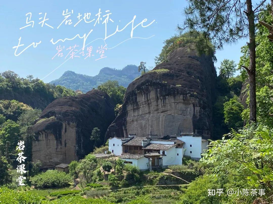 威信白岩寨墓地|云南省文物考古研究所