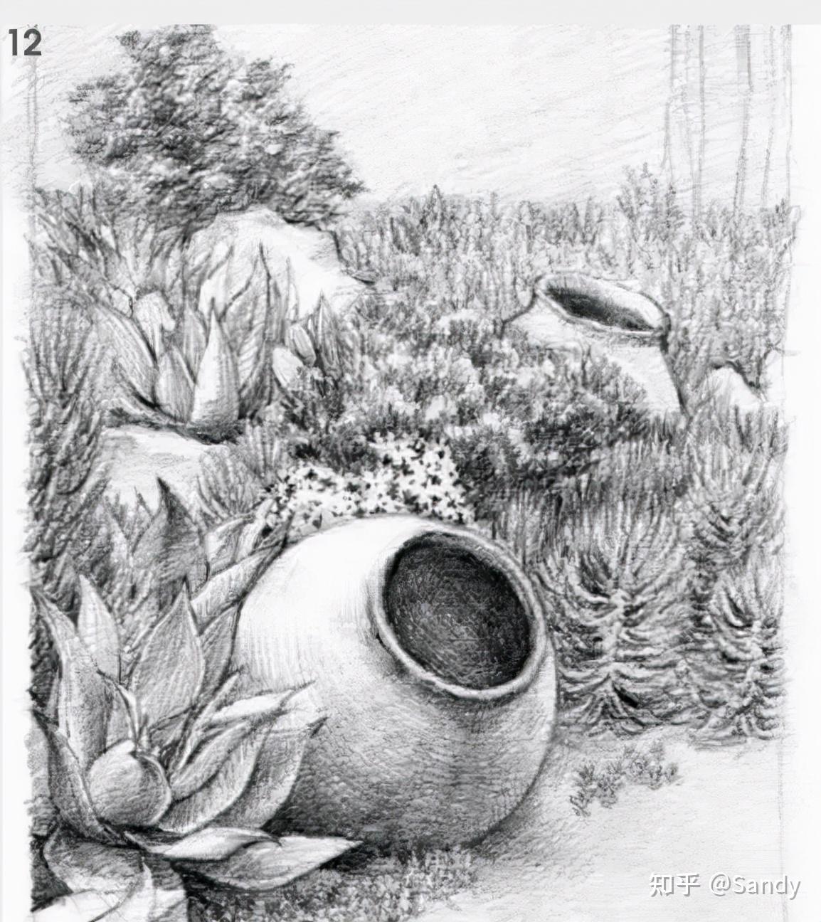 零基础教程 | 素描风景花园一角