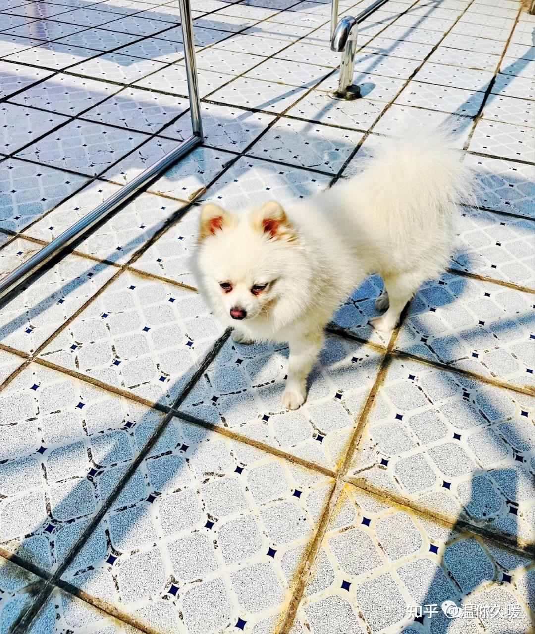 阳光明媚,发现生活的小美好,善于发现生活中的美 - 知乎