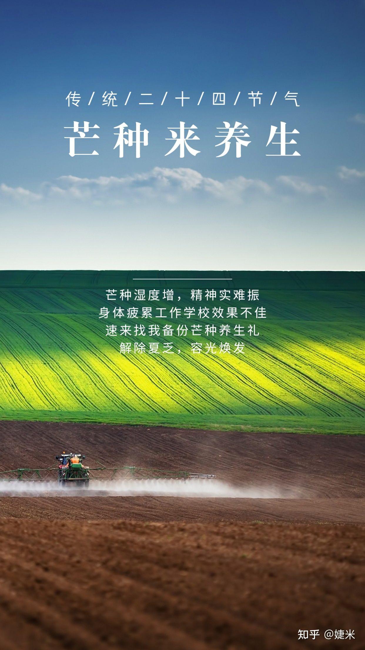 放价超省心16芒种阳气盛,补阳正当时备份养生关爱礼送亲送友都可以