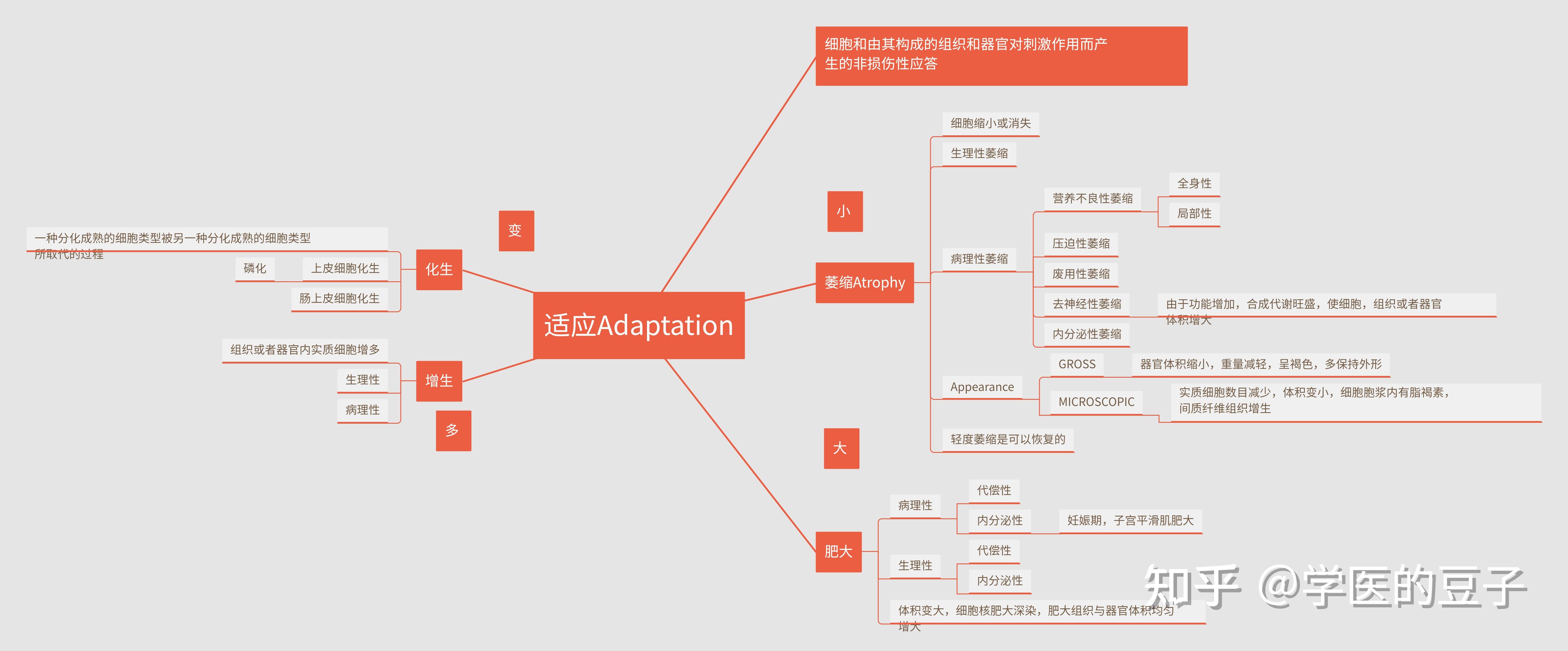 病理学思维导图高清pdf图片